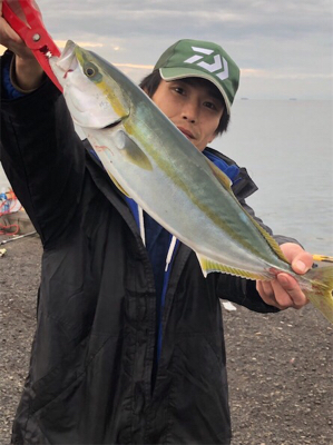 神戸ノマセクラブ メジロ釣行記