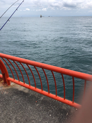 久々にホームグランドでノマセ釣り