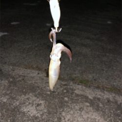 友達と、2桁目指して