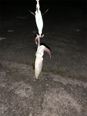 友達と、2桁目指して