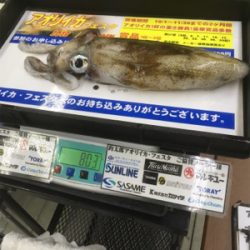 キロアップが遠い!