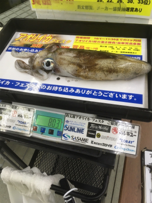 キロアップが遠い!