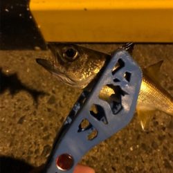 御所浦ライトゲーム