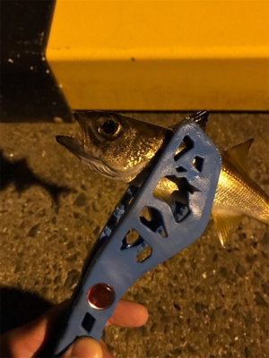 御所浦ライトゲーム