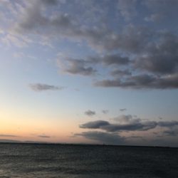 北風強い、寒い、でもゲット(^^)♪