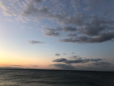 北風強い、寒い、でもゲット(^^)♪