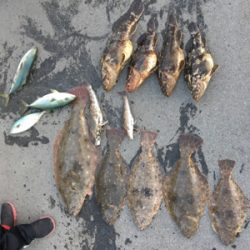 SFC プライベートボートでボートロック、五目釣り