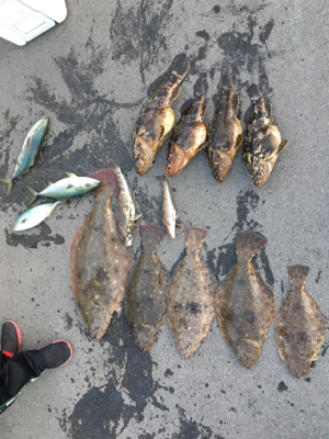 SFC プライベートボートでボートロック、五目釣り