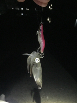 ヒイカ。渋々。