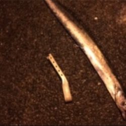 ちょい投げ釣行