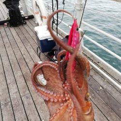 朝から粘って｡