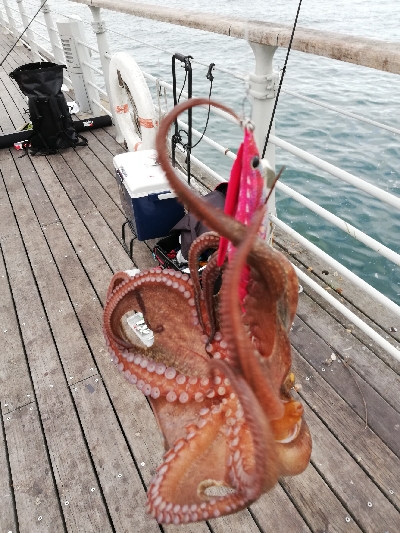 朝から粘って｡