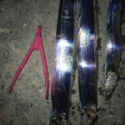 タチウオの引きが気持ちいい！