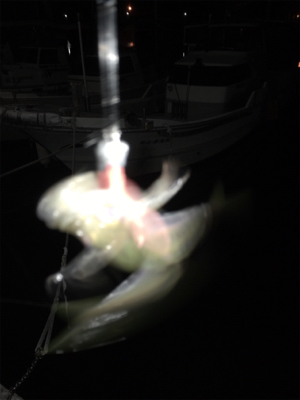 いつもの3種盛り