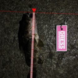 ライトロックandアジング