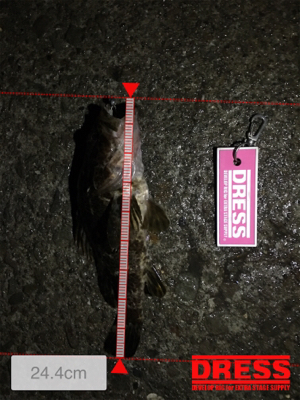 ライトロックandアジング