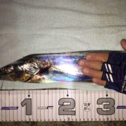 待望のドラゴン!