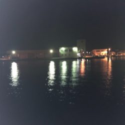 アオリイカボーズ代わりにpart II