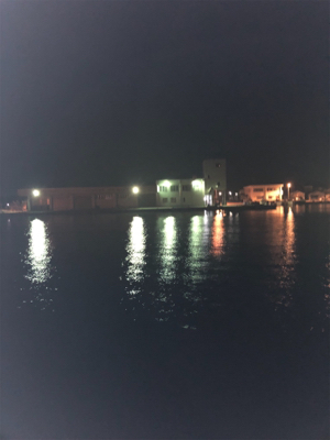 アオリイカボーズ代わりにpart II