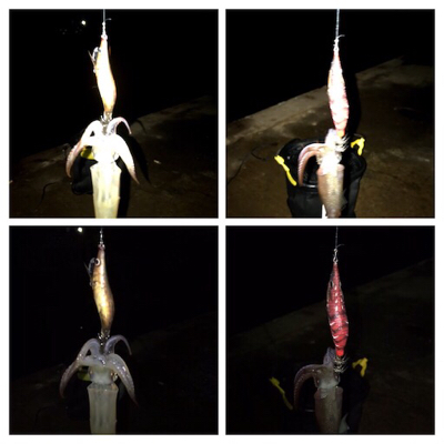 久しぶりのアジング(^。^)