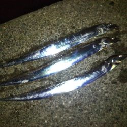 活性はそこそこ