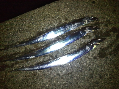 活性はそこそこ