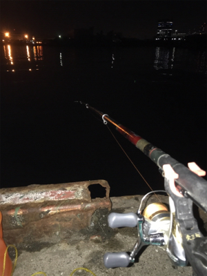 アジのちタチウオ