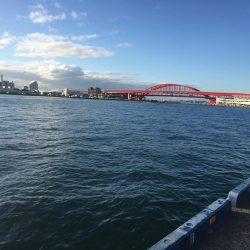 渋いかんじでした