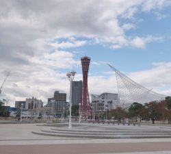 ヌーチーバラシー鯖