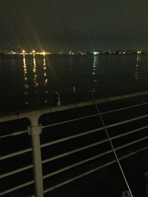 ウキ釣り初タチウオ!