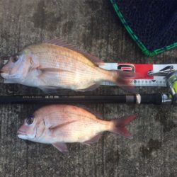 長潮でしたがなんとか