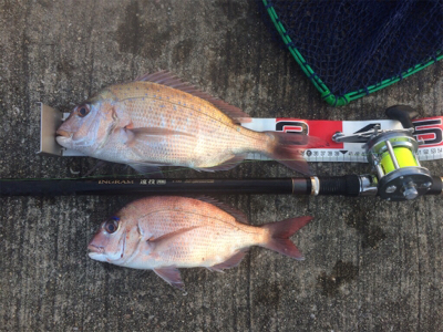 長潮でしたがなんとか