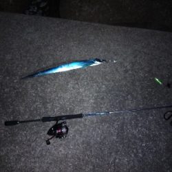 今日は引き釣りテンヤのみ