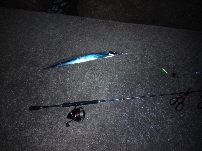 今日は引き釣りテンヤのみ