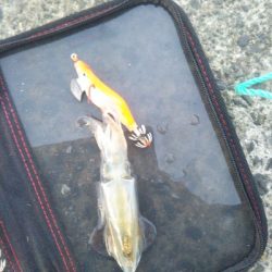 今年の締めくくりのつもりで…