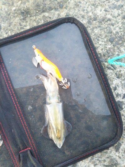 今年の締めくくりのつもりで…