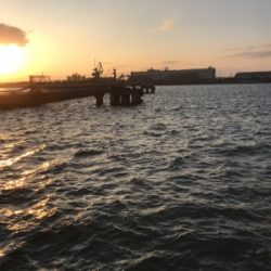 夕まずめ 短時間