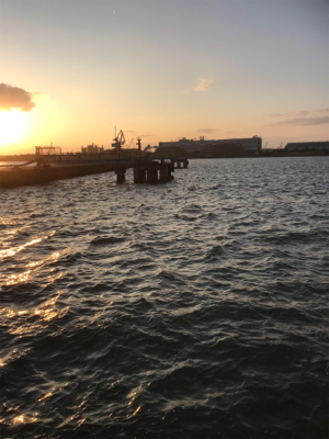 夕まずめ 短時間