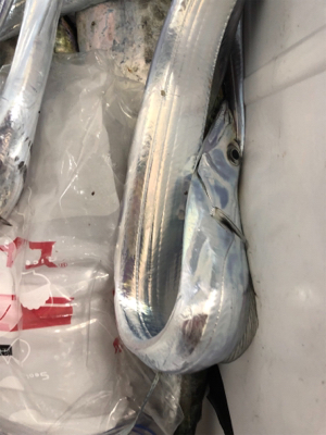 活性は高いのか？