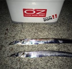 スケスケ潮にもマケズ