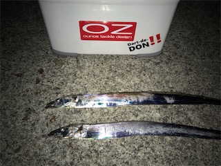 スケスケ潮にもマケズ