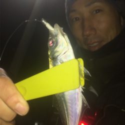 ナイトアジング/サーベリング☆五目達成