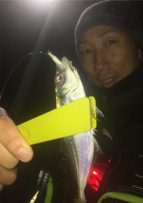 ナイトアジング/サーベリング☆五目達成