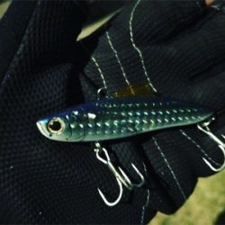 ランカー シーバス