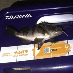 アジ爆でした！