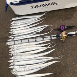 タチウオジギング