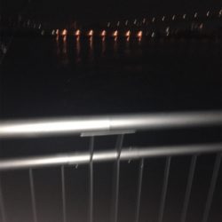 ボウズ逃れのガシラ