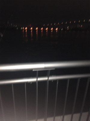 ボウズ逃れのガシラ