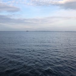 千葉デイシーバス