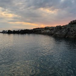 とんかつサイズ1枚ぽっきり（＾ν＾）